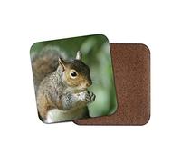 1 x Wild Squirrel Coaster - Nature Wildlife Animals Woods Mum Girls #12855