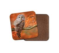 1 x Wise Brown Owl Coaster - Bird Autumn Tree Forest Wildlife Nature Fun #14627