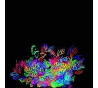 10,000 Rivers [VINYL]