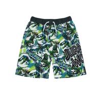 (10-11 Years) Jurassic World Swim Shorts (Boys Green)