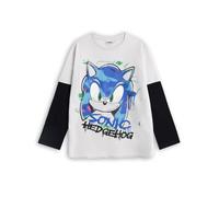 (10-11 Years) Sonic the Hedgehog Long Sleeved T-Shirt (Unisex Kids Grey)