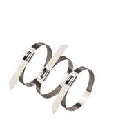 10/20/50/100pcs 304 Cable Ties Stainless Stee 7.9mm Length 100-1000mm Locking Exhaust Wrap Sealing Metal Zip Tie(450mm (17.72inch))