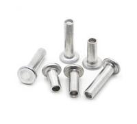 10/20/50pcs Aluminium Flat Truss Head Semi-hollow Rivet M2 M2.5 M3 M4 M5 M6 Socket Shank Semi-tubuler Bolts GB875(M2 50pcs,12mm)
