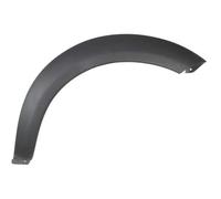 10.2006/ 2004/ RIGHT FRONT/ DARK GREY TRIM/PROTECTION STRIP WING FITS: LAND R
