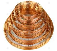 GardenersDream Flat Wire Wreath Rings - Great for Wreath Making, Christmas Decorations, Crafting and Floristry Frames (5, 10" (25cm))