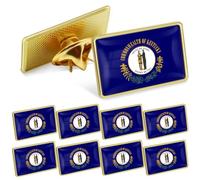 10/50/100 Pack American Kentucky Flag Lapel Pins Bulk -1” Metal US USA KY State Lapel Pins Activist Organizations Badge Button Souvenir, 1inch, Iron Brass, no gemstone