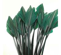 10/50 pcs Arrow Turkey Feathers 25-30 CM/10-12 INCH Beautiful for Jewelry Carnival Decorative DIY Costume Headdress-deep green-10pcs