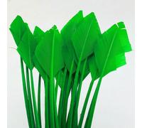 10/50 pcs Arrow Turkey Feathers 25-30 CM/10-12 INCH Beautiful for Jewelry Carnival Decorative DIY Costume Headdress-Grass green-10pcs