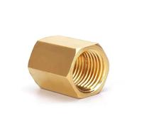 10/50PCS Brass Female to Female Threaded Hex Bushing Pipe Connectors - Brass Coupler Adapter Fitting (1/8,03,03,10 pcs