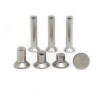 10-50pcs Countersunk Head Rivets M2 M2.5 M3 M4 M5 M6 304 Stainless Steel Solid Rivet GB869 for Garden Industrial(M3 20pcs,8mm)