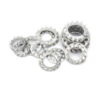10/50X M2.5 M3 M4 M5 M6 M8 M10 M12 M14 M16 A2 304 SSteel External Toothed Serrated Lock Washer Gasket((10pcs) M16)