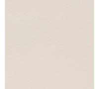 10 A5 300gsm Blank Cards and 10 Smooth 100gsm C5 Envelopes (Ivory Smooth 300gsm)