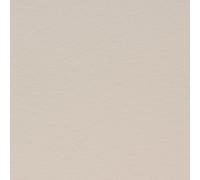 10 A5 Sheets of Card 250-260gsm Excellent for Cards, Scrapbook,Wedding Stationery (Ivory Smooth)