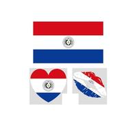 10 American Countries Flag Temporary Tattoos Bulk Pack, 30/50/100 Pcs International Soccer Fans Face Stickers for 2026 Football Game Day, Sports Events & Watch Party Decorations(27#Paraguay,100pcs)