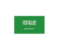10 Asian & Oceanian Countries Flag Temporary Tattoos Bulk Pack, 30/50/100 Pcs Face Stickers for 2026 Soccer Game Day, Sports Events & Party Decorations(15#Saudi Arabia,30pcs)