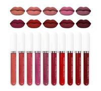 10 Color Easy Apply Matte Lipstick with Sweat Proof and Transfer Resistant Properties Ideal for Beginners Artists Easy Remove