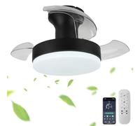 10’’ Fan Light Ceiling with Remote Control Small Ceiling Fan Lights for Bedroom Smart APP Hallway Lamps Ceiling with Retractable Blade LED Ceiling Lampshades Modern Kitchen Lights