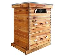 10-Frame Beehive with Acrylic Window, Wax-Coated Langstroth Complete Bee Hive Starter Kit Includes 2 Deep Brood Box & 1 Medium Super Bee Box with Beehive Frames and Waxed Foundation Sheet