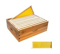 10 Frame Medium Super Bee Box, Langstroth Honey Bee Hive Dipped in 100% Beeswax, Honey Super with Beehive Frames and Wax Foundations for Beekeeping Supplement