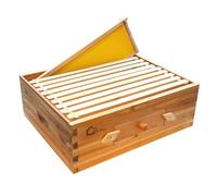 10 Frame Medium Super Bee Box, Langstroth Honey Bee Hive Dipped in 100% Beeswax, Honey Super with Transparent Acrylic Window Beehive Frames and Wax Foundations for Beekeeping Supplement