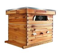 10-Frames Bee Hive with Acrylic Window, 100% Beeswax Coated Complete Beehive Starter Kit Includes 1 Deep Box and 1 Medium Bee Box with Beehives Frames and Wax Foundations for Beginner Beekeepers