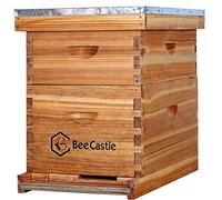 10-Frames Complete Beehive Kit, 100% Beeswax Coated Bee Hive Includes Frames and Beeswax Coated Foundation Sheet (2 Layer)