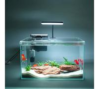 10 Gallon Glass Small Fish Tank, Betta Fish Tank Starter Kit with Filter, Lights, Lid.