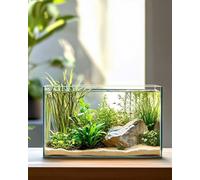 10 Gallon Ultra Clear Rimless Glass Fish Tank, Easy to Maintain Small Aquarium for Betta, Goldfish, Shrimp, Snails and Aquatic Plants