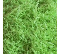 10 Grams of MID Light Green Luxury Hamper Shred Gift Packaging - Extra Soft Shredded Tissue Paper