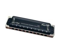 10 Hole Blues Harmonica Diatonic Blues Harmonica with Case More Professional Harmonica for Beginner Students Adults Player(Black)