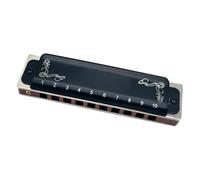 10 Hole Blues Harmonica Diatonic Blues Harmonica With Case/More Professional Harmonica For Beginner Adults Player(Black)