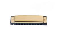10 Hole Blues Harmonica Instrument Stainless Steel Beginner Adult(3)