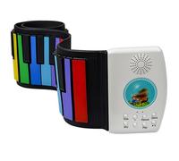 10 Holes Diatonic Harmonica Stainless Steel Cover Brass Reed Key C Jazz Band Mouth Organ Instruments With Case Professional harmonica (Color : Silver-G tone)