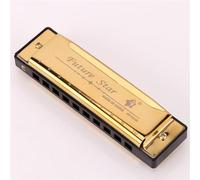 10 Holes Key C Blues Harmonica Musical Instrument, Golden