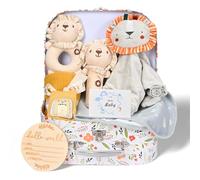 10 in 1 Newborn Baby Gifts Set, Baby Birth Gift for Boy & Girl, with Baby Blanket & Security Blanket & Ratle & Burp Cloth & Sock & Milestone & Decision Coin & Greeting Card & Storage Box (Little Lion)