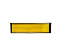 10 Inch Panel Door Letterbox Gold