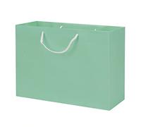 10 Large Kraft Paper Carrier Bags With Handle - Reusable Gift Tote for Birthday, Wedding, Christmas Party, Shopping (10Pcs Blue, Size L)