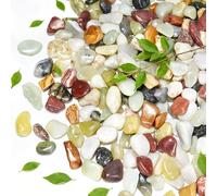 10 lbs Pebbles for Indoor Plants,1/2 Inch Stones for Plants,Small Colorful Pebbles,Suitable for Vases, Cactus Potted Plants, Fish Tanks,Fountain