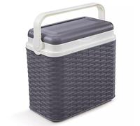 10 Litre Anthracite Rattan Design Cooler Box Camping Beach Picnic Travel +1 Ice Pack Travel (Cooler Box, Anthracite)