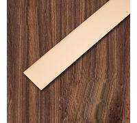 10 m x 2 cm Metal Tape Decorative Strips, Self-Adhesive, Stainless Steel Sheet Wall Strips, Stucco Strips Wall, Peeling and Stick Stainless Steel for Fireplace, Mirror Frame, Furniture and Home