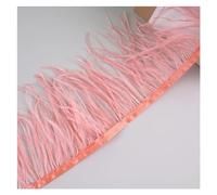 10 Meters Ostrich Feathers Fringe Trim for Needlework and Handicrafts Feather Dress Accessories Plumes Fringes for Clothes for DIY(Dark Coral)
