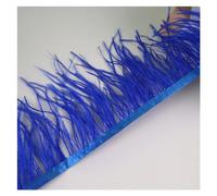 10 Meters Ostrich Feathers Fringe Trim for Needlework and Handicrafts Feather Dress Accessories Plumes Fringes for Clothes for Crafting, DIY Costumes and Decorations(Royal Blue)