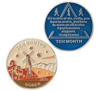 10 Month Sobriety Coin AA Chips and Medallions,Sobriety Recovery Chip Sober Token | Sobriety Gifts for Men Women Celebrating Alcoholics Anonymous Recovery