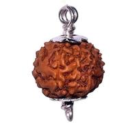 10 Mukhi Rudraksha from Indonesia/Loose Bead Lab Certified/Ten Mukhi Indonesian (Java) Rudraksha Size 12mm-14mm/ Lord Vishnu/in Pure Silver Cap