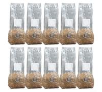 10 Mycelium Growth Bags with Controlled Moisture Levels for Mushroom Cultivation