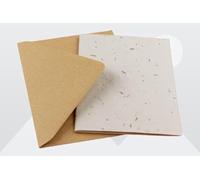 10-Pack A5 Pre-Scored Plantable Seeded Card Blanks with C6 Envelopes - Eco-Friendly, Recycled, Biodegradable - Folds to A6 for DIY Card Making, Invitations, Thank You Notes