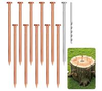 10 Pack Copper Nails for Killing Trees, 4Inch Copper Nails Stump Removal, Tree Stump Killer with Long Steel Nail and Drill