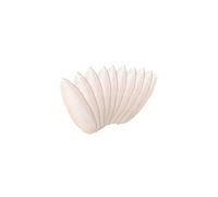 Newsmy 10 Pack Cuttlefish Bone for Birds, Natural Cuttlebone for Parrots and Budgies, Calcium Chew for Beak Care, Suitable for Snails and Tortoise [10Pcs 10CM]
