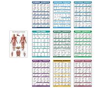 10 Pack - Exercise Workout Poster Set - Dumbbell, Suspension, Kettlebell, Resistance Bands, Stretching, Bodyweight, Barbell, Yoga Poses, Exercise Ball, Muscular System (PAPER, NON LAMINATED,18" x 24")