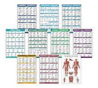 10 Pack - Exercise Workout Poster Set - Dumbbell, Suspension, Kettlebell, Resistance Bands, Stretching, Bodyweight, Barbell, Yoga Poses, Exercise Ball, Muscular System Chart (LAMINATED, 18" x 24")
